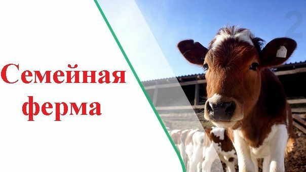 На Камчатке принимают заявки на получение гранта «Семейная ферма»