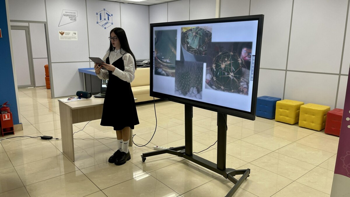 Победители трека «Большие вызовы» с Камчатки примут участие в образовательной программе «Сириуса»