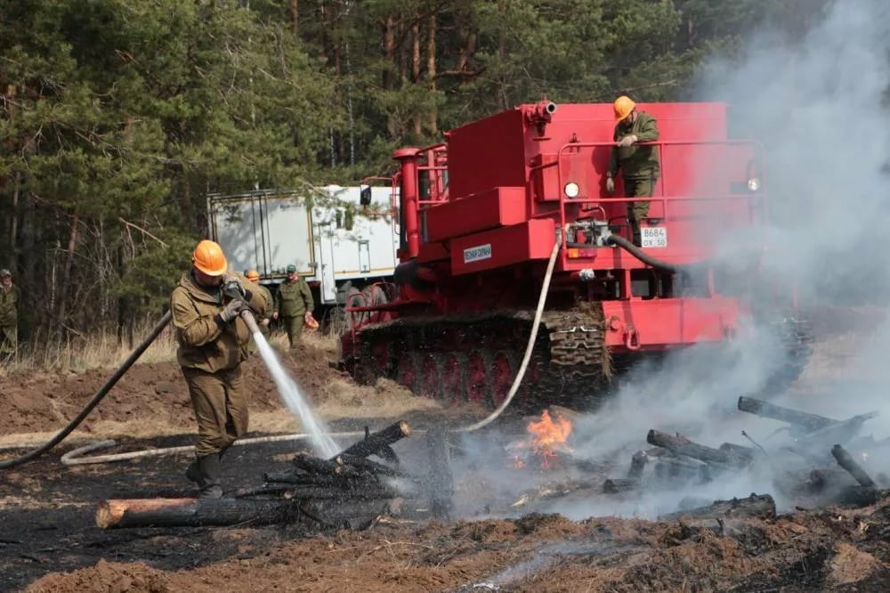 В Камчатском крае  все действовавшие пожары потушены и ликвидированы